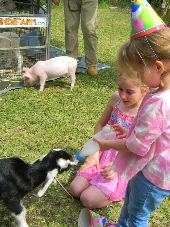 Parties - Mobile Animal Farm Sydney - Petting Zoo Hire ...